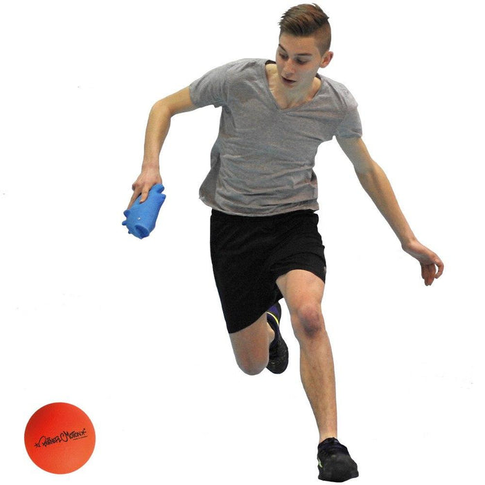 Poisson-lion, jeu de 6