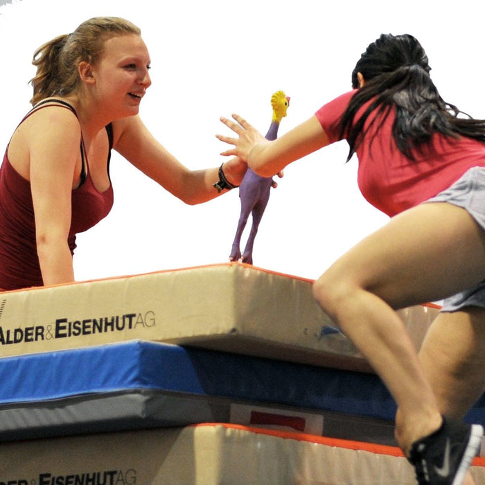 Moorhühner, 6er-Set