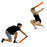 Chauve-souris gladiateurs, ensemble de 2